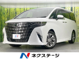 純正14型ナビ 両側電動ドア 全周囲カメラ 100V電源 衝突軽減装置