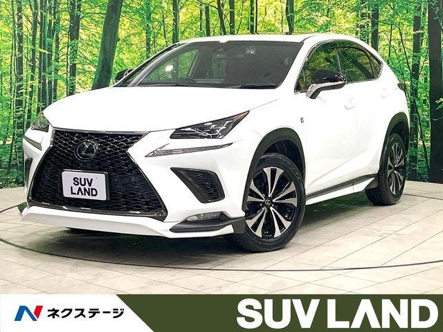 NX 300 Fスポーツ 