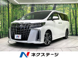 両側電動ドア 純正10.5インチナビ 後席モニター 全周囲カメラ