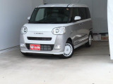 ムーヴキャンバス  ストライプス G