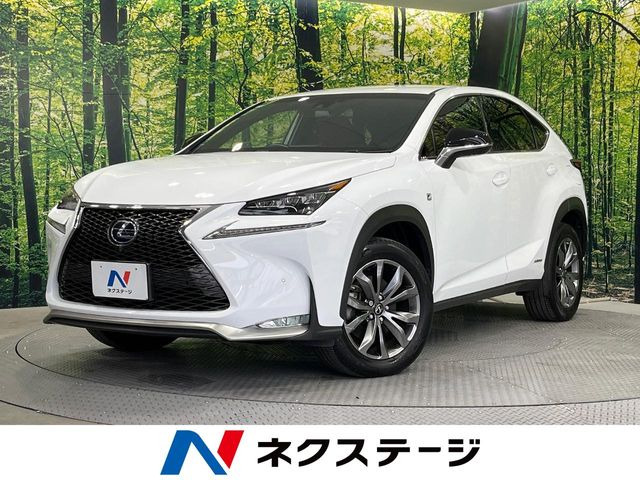 NX 300h Fスポーツ 
