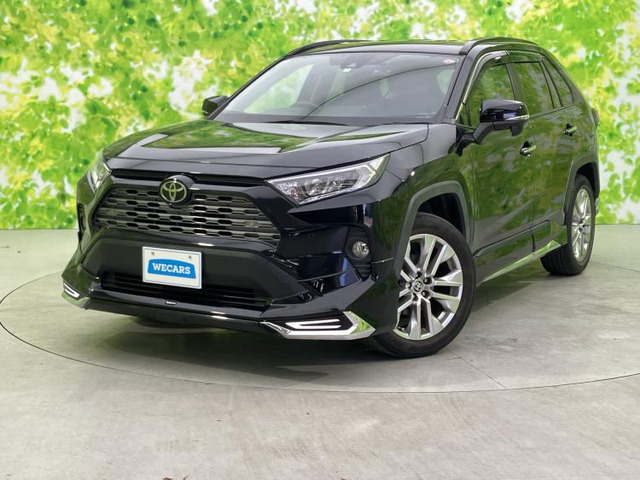 RAV4 2.0 G Zパッケージ 4WD 