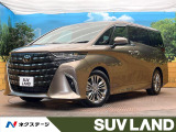ガラスルーフ 13.2型有機EL後席ディスプレイ 両側電動ドア