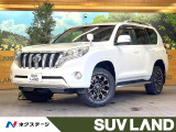 7人乗り SDナビバックカメラ クルーズコントロール フリップダウン
