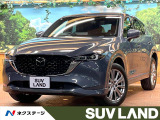 純正10型ナビ 全周囲カメラ レーダークルーズ ブラインドスポットモニタ