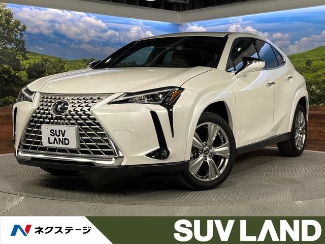 UX 250h グレイスフル エクスプローラー 