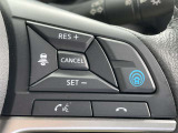 同一車線運転支援システム「プロパイロット」が付いており、高速道路の運転も楽になります