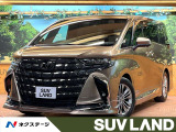 モデリスタエアロ フリップダウン 純正14型ナビ 全周囲カメラ ETC