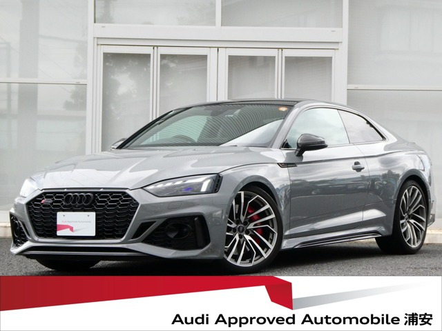 RS5 2.9 4WD