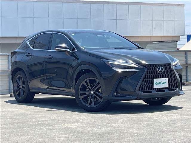 NX 250 バージョンL 本革シート 修復歴無し