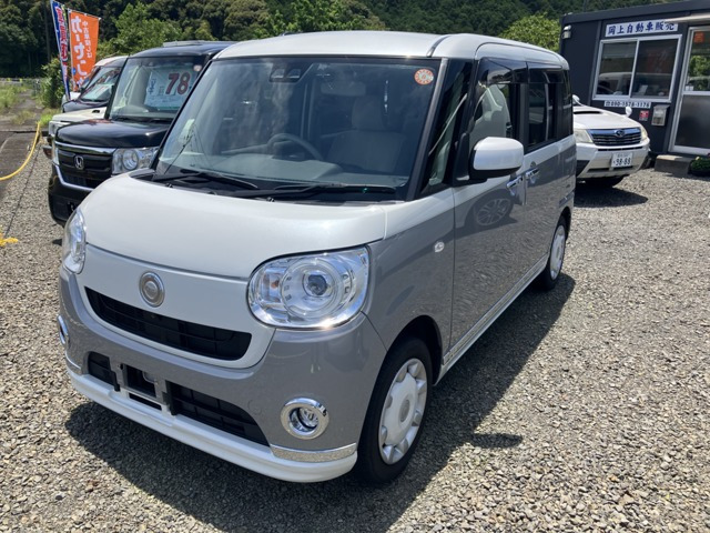 ムーヴキャンバス G メイクアップ リミテッド SAIII