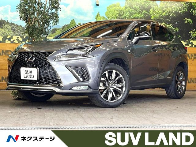 NX 300h Fスポーツ