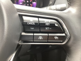 このシステムは、運転者がアクセルやブレーキを踏まなくても、設定した速度で前方車との車間距離を一定に保つ追従走行を行います。さらにステアリングアシスト機能では車線に沿った走行をアシストします。
