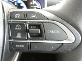 【便利装備】クルーズコントロールスイッチ☆希望の車速で定速走行する事ができます。高速道路を走る時に便利な機能です※設定速度には制限があります。