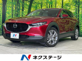 8型SDナビ 全周囲カメラ スマートブレーキサポート レーダークルーズ