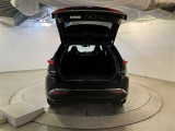 バックドアを開けた状態です。シートを倒せば荷室が広がり、用途に応じた使い方が可能で快適です。