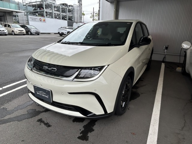ドルフィン ベースライン 