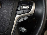 トヨタが誇る衝突被害軽減ブレーキを搭載したサポカーです。レーダークルーズコントロールを装備してます。