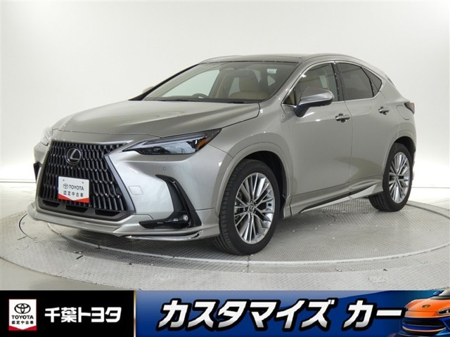 NX 250 バージョンL NX 250 バージョンL
