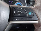 プロパイロットスイッチ!速度を設定するとアクセルを踏んでなくても走ります。高速道路等の運転に便利な機能です。