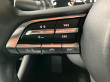 オーディオの音量やチャンネル操作ができるスイッチが、ハンドルに付いています。運転中でも、操作が行えて非常に安全・便利です!