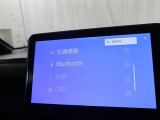 10インチの大画面純正SDフルセグナビ!とにかく画面が大きくて見やすいです!ブルートゥース接続もOK!