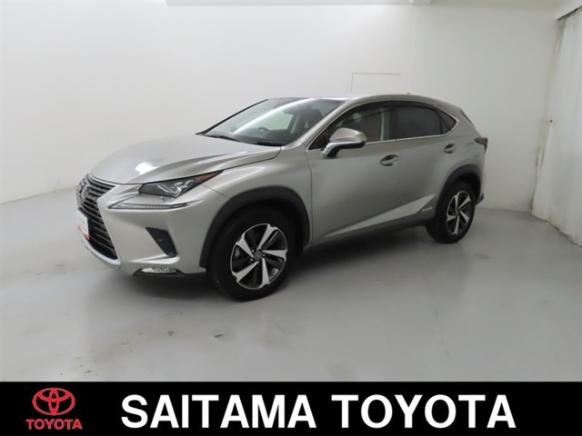 NX 300h Iパッケージ