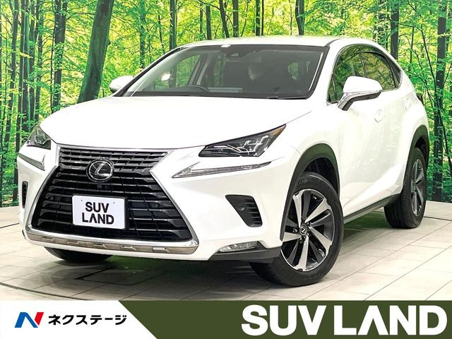 NX 200t Iパッケージ
