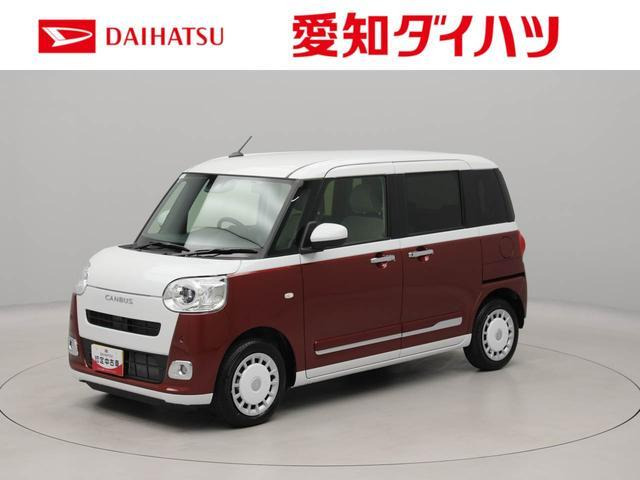 ムーヴキャンバス  ストライプス G