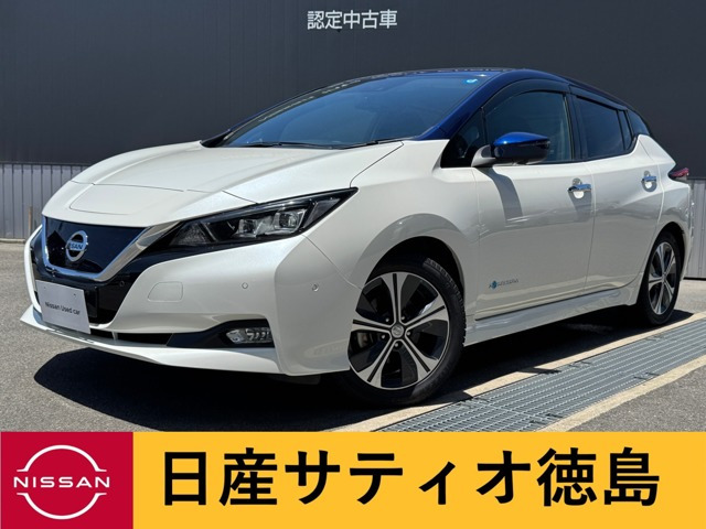 リーフ G