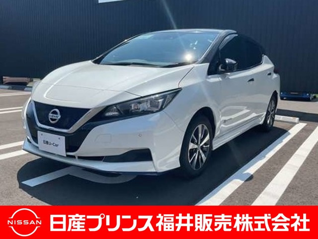 リーフ e+ X