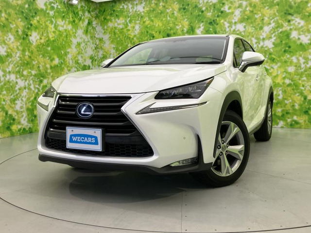 NX300h バージョンL 4WD