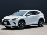 NX 300h バージョンL 全周囲カメラ 衝突軽減システム
