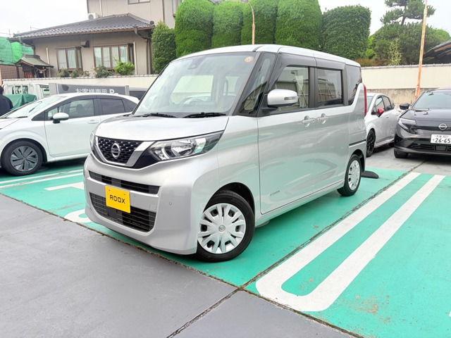 デイズルークス X