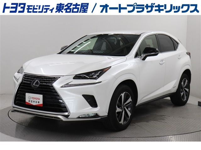 NX300hスパイス&シック