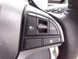 ハンドル右側にはクルーズコントロールのスイッチが装備され、運転中の操作も安心して行えます。