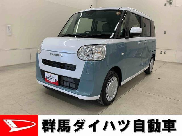 ムーヴキャンバス  ストライプス X