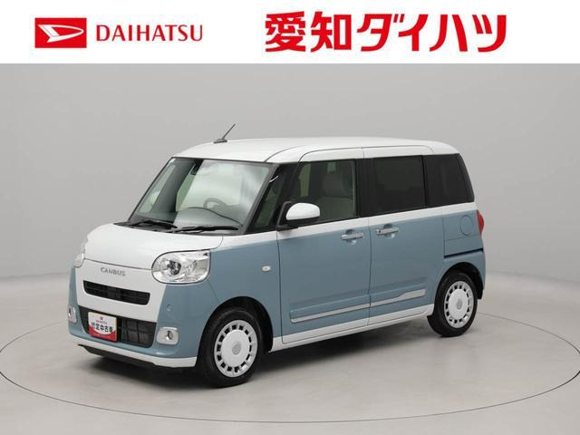 ムーヴキャンバス  ストライプス G