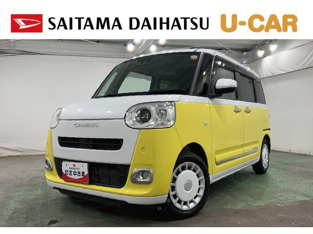 ムーヴキャンバス  ストライプス G