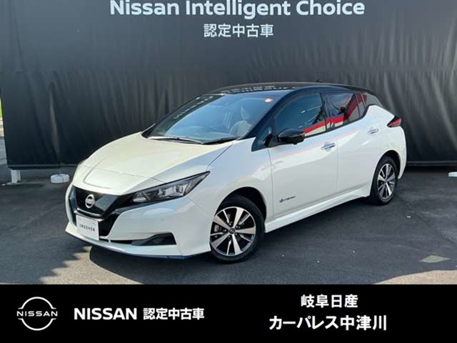 リーフ e+ X