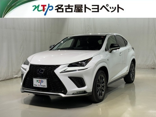 NX300h アーバンスタイルクール&ブライト