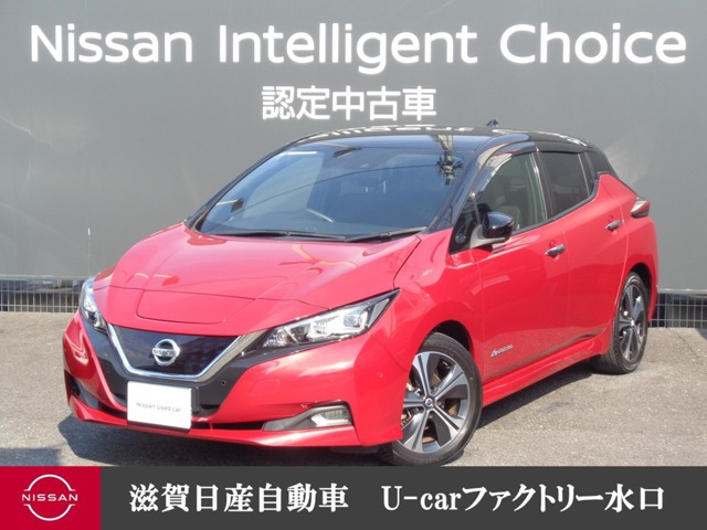 リーフ G