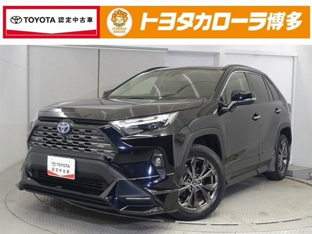 RAV4 2.5 ハイブリッド G E-Four 4WD （6AA-AXAH54）
