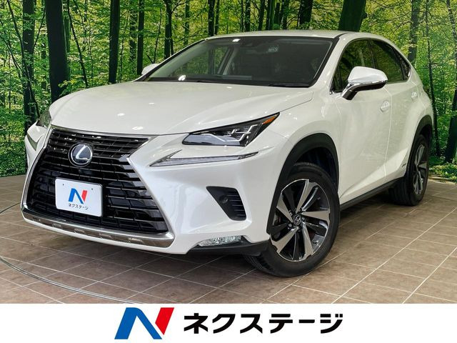 NX300h Iパッケージ