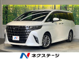 純正14インチナビ パノラミックビューモニター ユニバーサルステップ