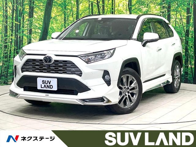 RAV4 2.0 G Zパッケージ 4WD 