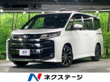 両側電動ドア 後席モニター バックカメラ 100V電源