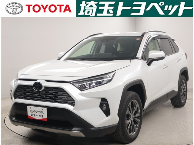 RAV4 2.0 G 4WD