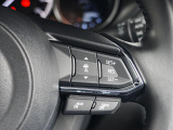 前走車両の速度に合せて、自車の速度を調整できる「アダプティブクルーズコントロール」を装備しています。