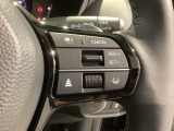 クルーズコントロールを装備しています。高速道路などで一定の速度で走ってくれるので運転が楽ですよ!速度を設定できますので、スピードの出しすぎにも注意できます。